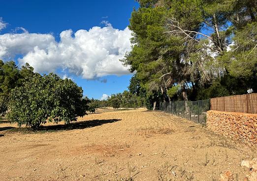 Land in Palma de Mallorca