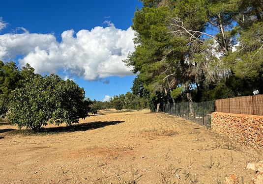 Land in Palma de Mallorca