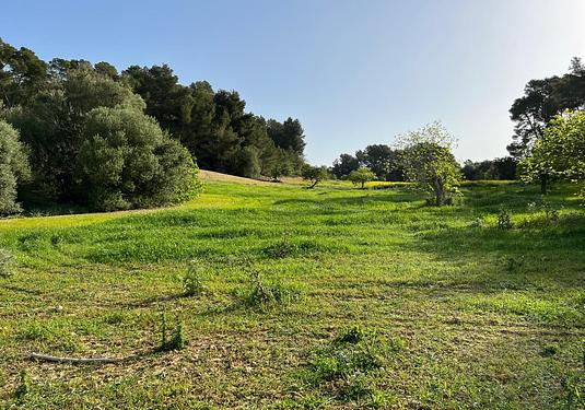 Land in Palma de Mallorca
