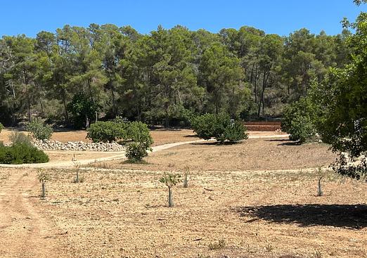 Land in Palma de Mallorca