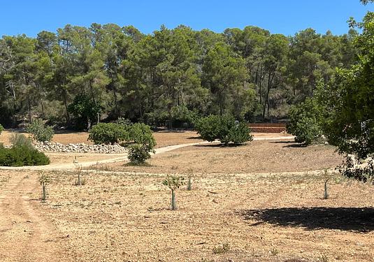 Land in Palma de Mallorca