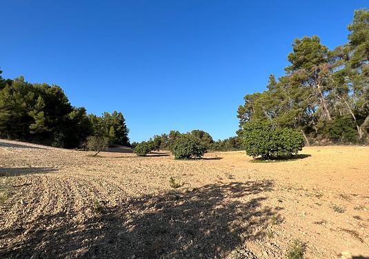 Land in Palma de Mallorca