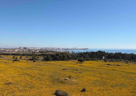 Apartment in Orihuela Costa