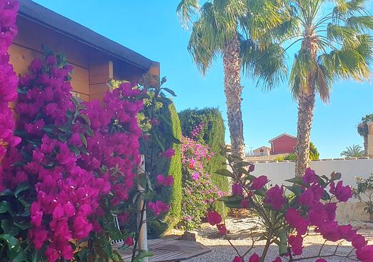 Villa in Camposol