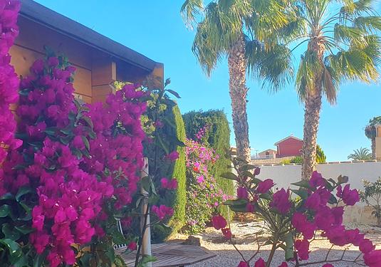 Villa in Camposol