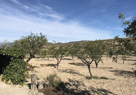 Finca in Lorca