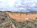 Land in Pinoso