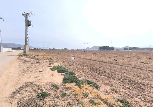 Land in Villena