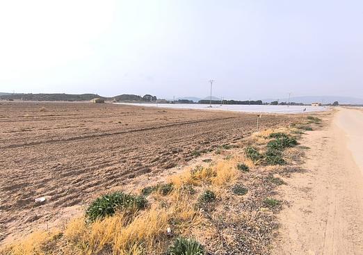 Land in Villena