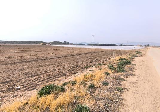Land in Villena