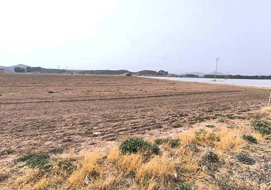 Land in Villena