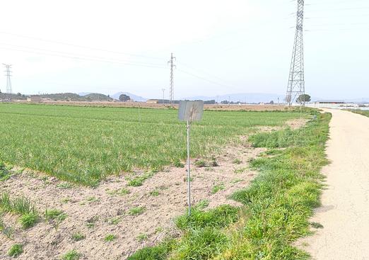 Land in Villena