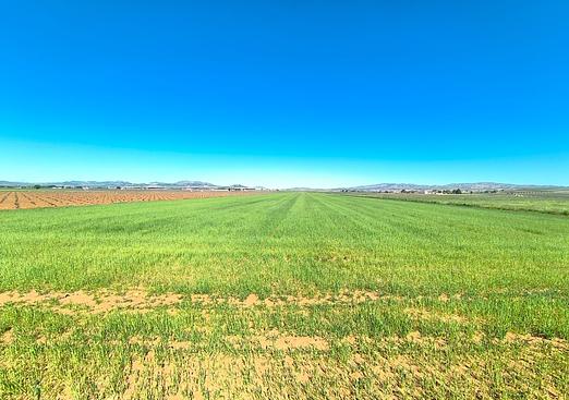 Land in Yecla
