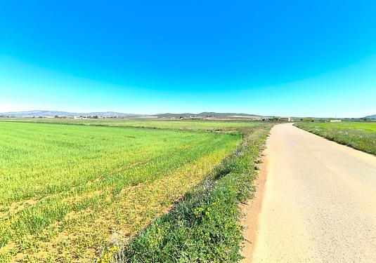 Land in Yecla