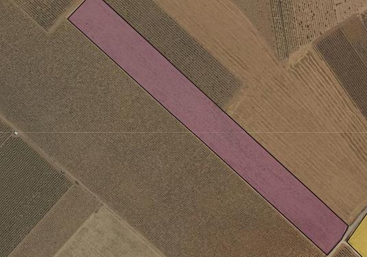 Land in Yecla