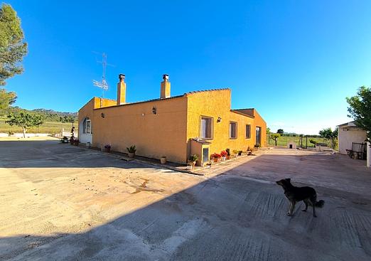 Property in Yecla