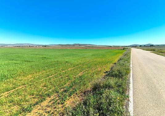 Land in Yecla