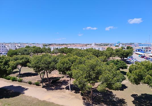 Apartment in La Zenia