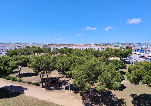 Apartment in La Zenia