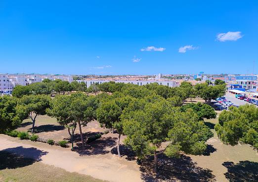 Apartment in La Zenia