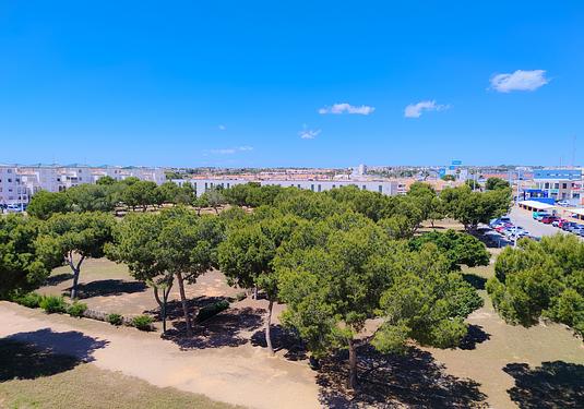 Apartment in La Zenia