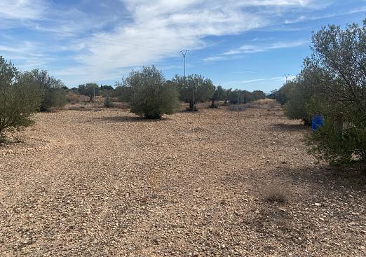 Property in Caudete