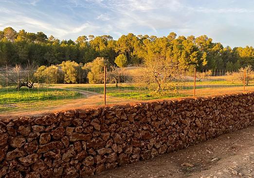 Land in Palma de Mallorca