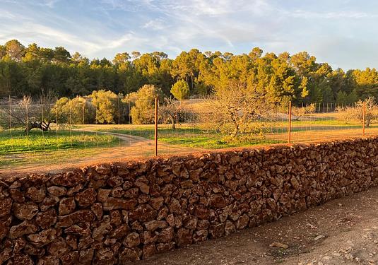 Land in Palma de Mallorca