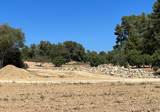 Land in Palma de Mallorca