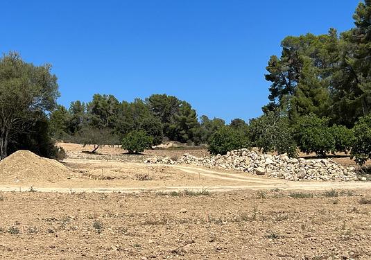 Land in Palma de Mallorca