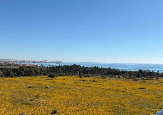 Apartment in Orihuela Costa