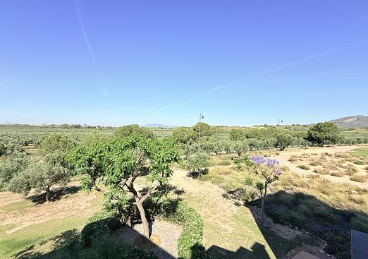 Apartment in Hacienda Riquelme Golf Resort