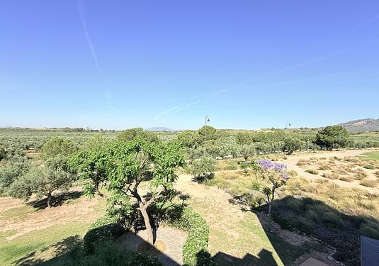 Apartment in Hacienda Riquelme Golf Resort