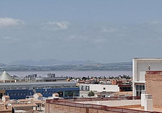 Apartment in Torrevieja
