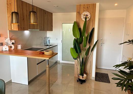 Apartment in Pilar de La Horadada