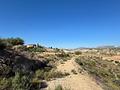 Land in Abanilla
