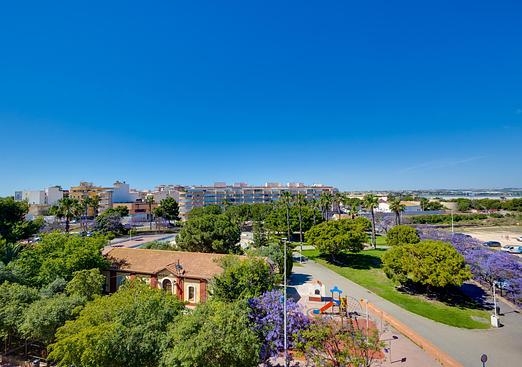 Apartment in Torrevieja