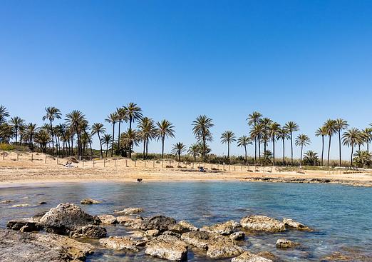 Bungalow in Torrevieja