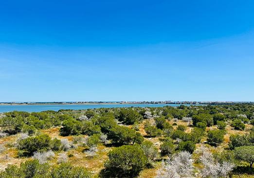 Apartment in Torrevieja