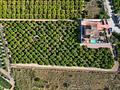 Finca in Vistabella Golf Entre Naranjos