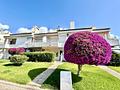 Apartment in Villamartin