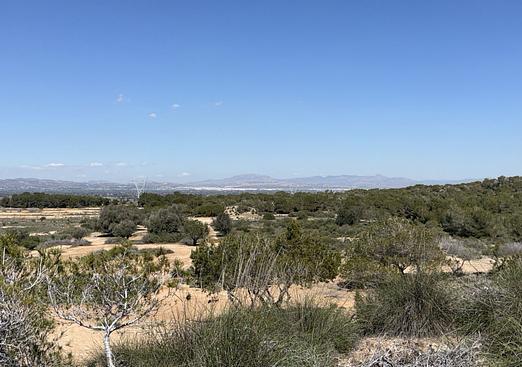 Land in San Fulgencio
