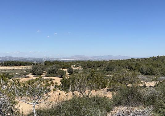 Land in San Fulgencio