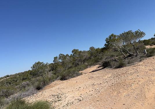 Land in San Fulgencio
