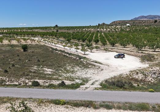 Land in Pinoso