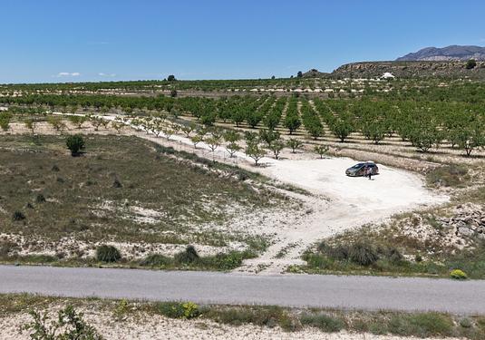 Land in Pinoso