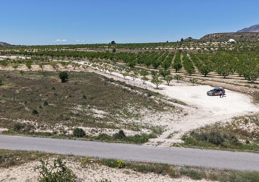 Land in Pinoso