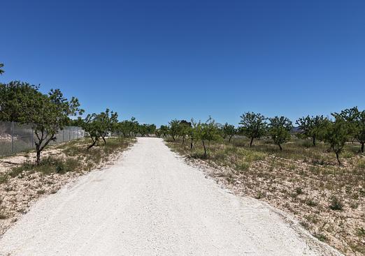 Land in Pinoso