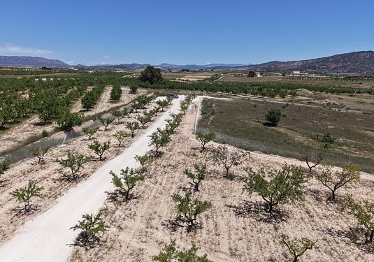 Land in Pinoso
