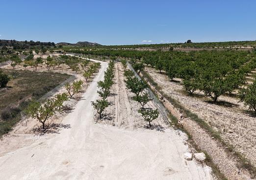 Land in Pinoso